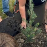 tree being planted by children who are kneeling around it.