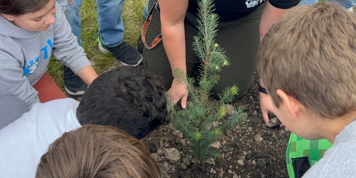 tree being planted by children who are kneeling around it.